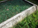 image of grave number 292411